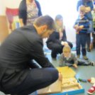 Bölcsi fősulisoknak