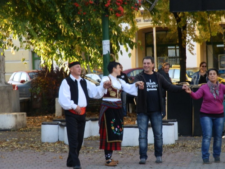 Fenyőpálinka és buzuki