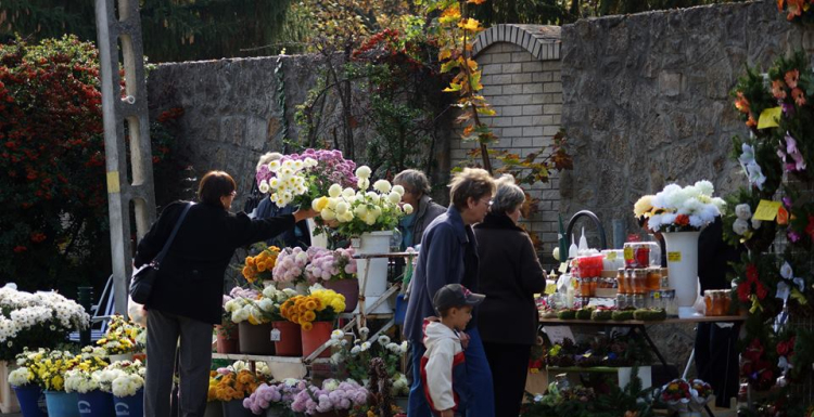 Változik  hétvégére a buszmenetrend