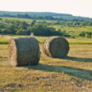 Képeket vegyenek az Arany iskoláért!