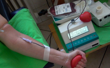 A fősulisok is vérüket adták ( DSTV videóval)