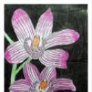 Képeket vegyenek az Arany iskoláért!