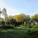 Emlékezés 56 hőseire