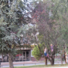 Pazar időben színes programok Szent Mihály napján