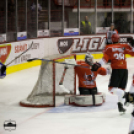 Dunaújvárosi Acélbikák 