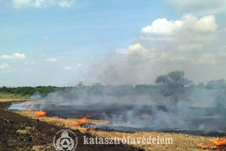 Tarló égett Előszállásnál 