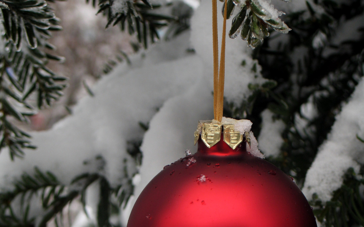 Díszítsünk fát a rászorulóknak!