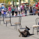 Szívvel-lélekkel a védelmünkben