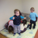 Zengő-bongó bölcsisek hétköznapjai