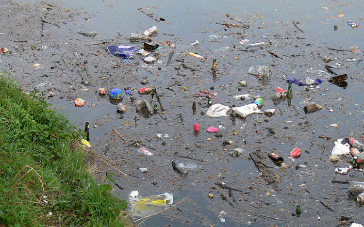 Két év alatt ér el az Északi-sarkvidékre a brit vizekbe kerülő műanyaghulladék