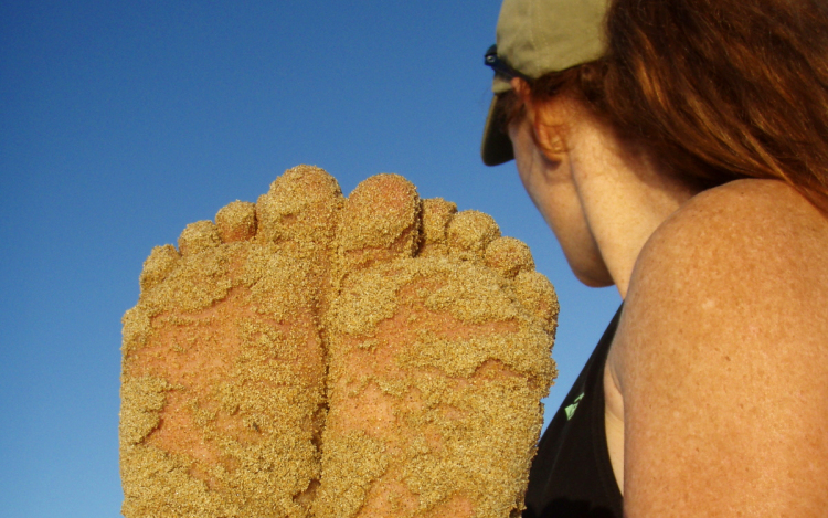 Tablóverseny győztesek!