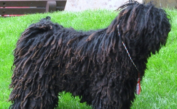 Ebösszeírás: május 1-től már büntethetnek!