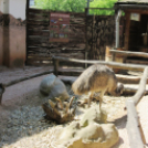 Hónap diákjai az állatkertben