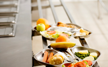 Ígéretesnek hangzik a Mintamenza 