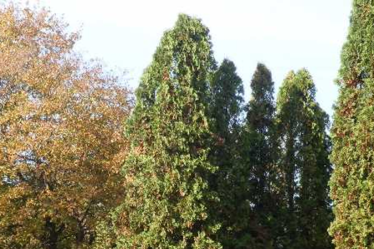 A közöny, ami  valódi kárt okoz- DSTV -videóval