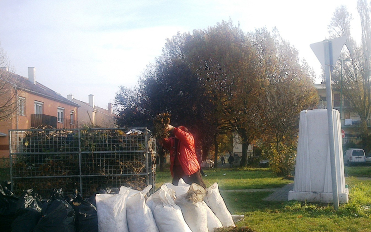 Szedik a faleveleket