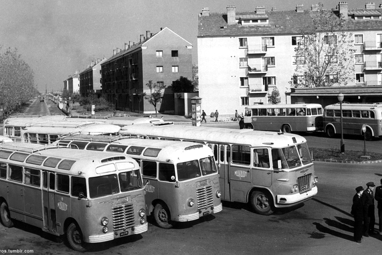 Játék egy vacsoráért!