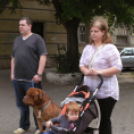 Sárkányok földön és vizen