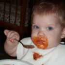 Zengő-bongó bölcsisek hétköznapjai