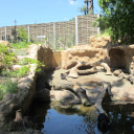 Hónap diákjai az állatkertben