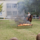 Városalapítók családbarát napja