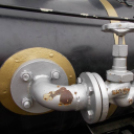 Muki és a vandálok - Gerencsér Tamás felvételei