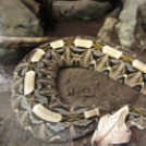 Hónap diákjai az állatkertben