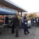 Csajok a kormány mögött