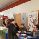 Karriernap az Egyetemen