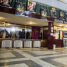 Felpezsdült a galéria