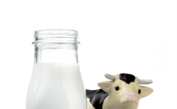 Veszélyben a magyar tej!