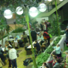 Foltvarrók találkoztak