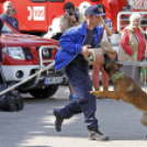 Szívvel-lélekkel a védelmünkben