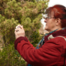 Séta a szoborparkban