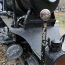 Muki és a vandálok - Gerencsér Tamás felvételei