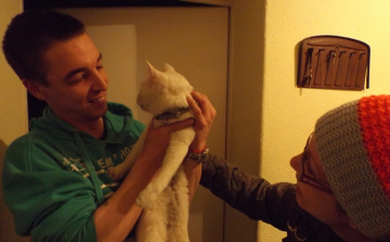 Kéményből mentették ki Murphyt Dunaújvárosban