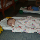 Zengő-bongó bölcsisek hétköznapjai