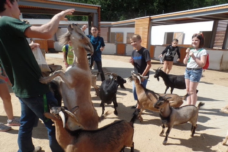 Ahol minden értük van...