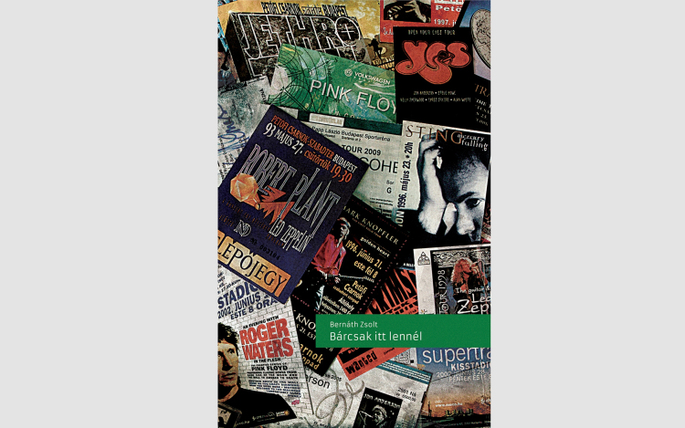 Bernáth Zsolt – Bárcsak itt lennél