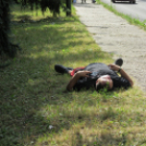 Rockmaraton -kezdetek