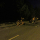 A hulláktól a pandán át a Biohazardig