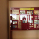 Új múzeum nyílt a városban