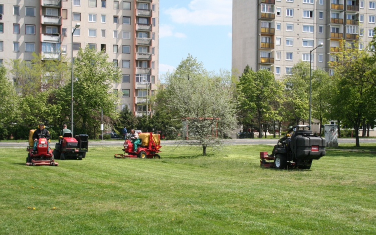 Gallyaznak- figyeljünk