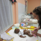 Szakmák éjszakája