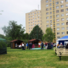 Római városrész napj