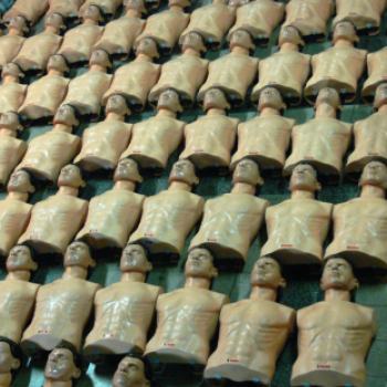 Előkészületek a Guinness rekordhoz