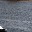 Motorcsónak két napon keresztül