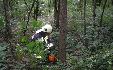 Fekitermelők lettek a tűzoltók