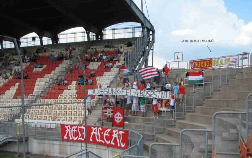 Nyílt levél az MLSZ-nek a 