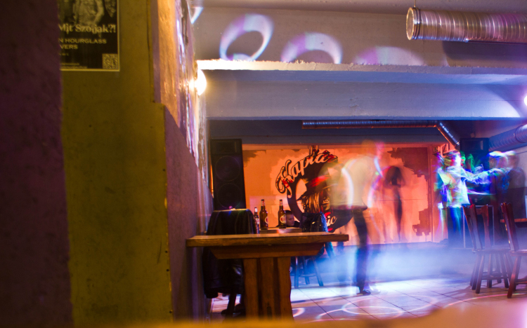 Töki, a kaptár házigazdája